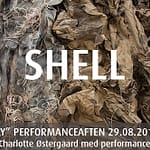 Shell 02